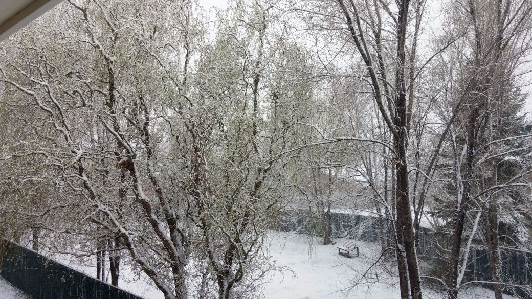 Snow